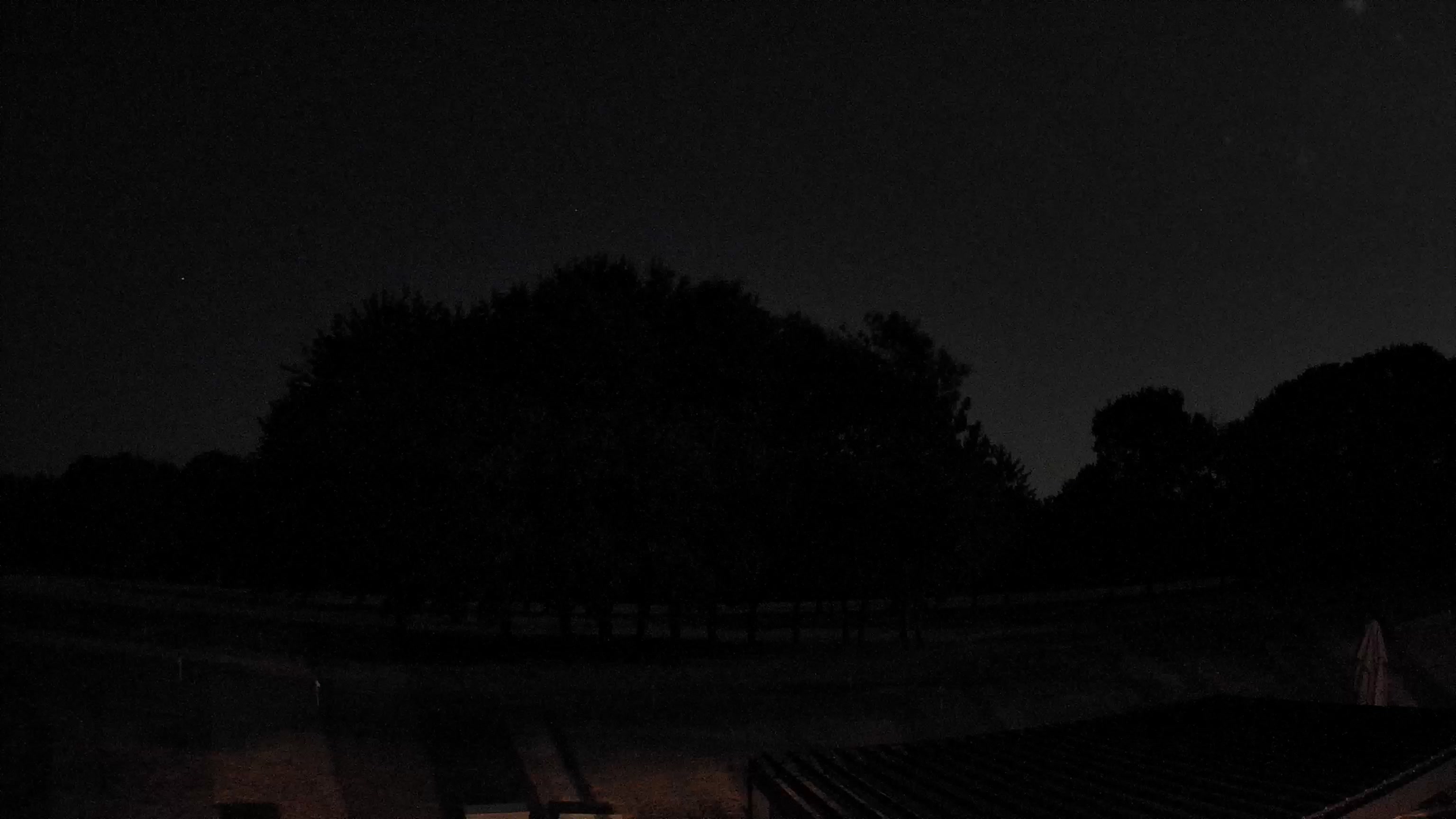 Webcam Image