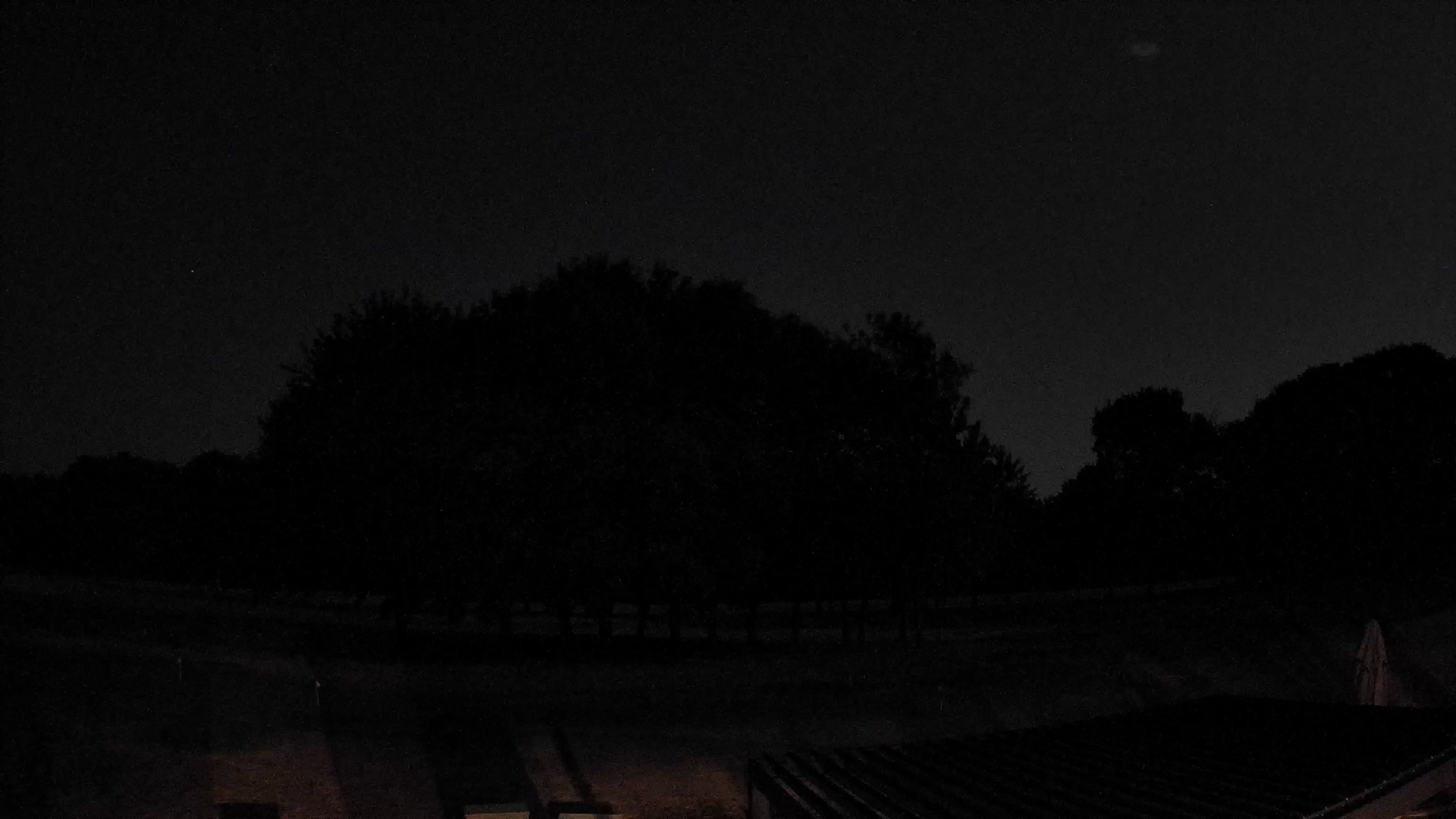 Webcam Image