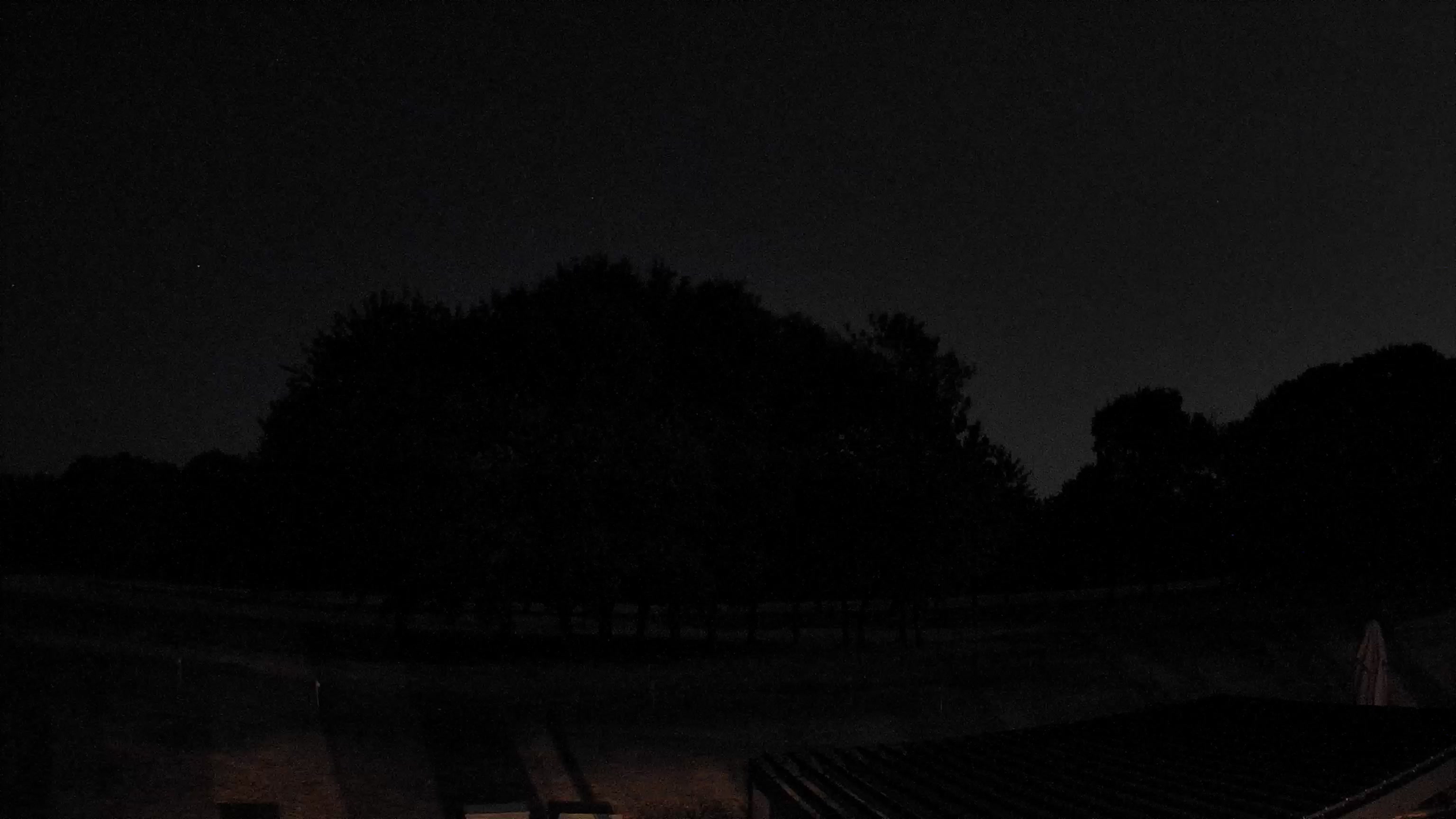 Webcam Image