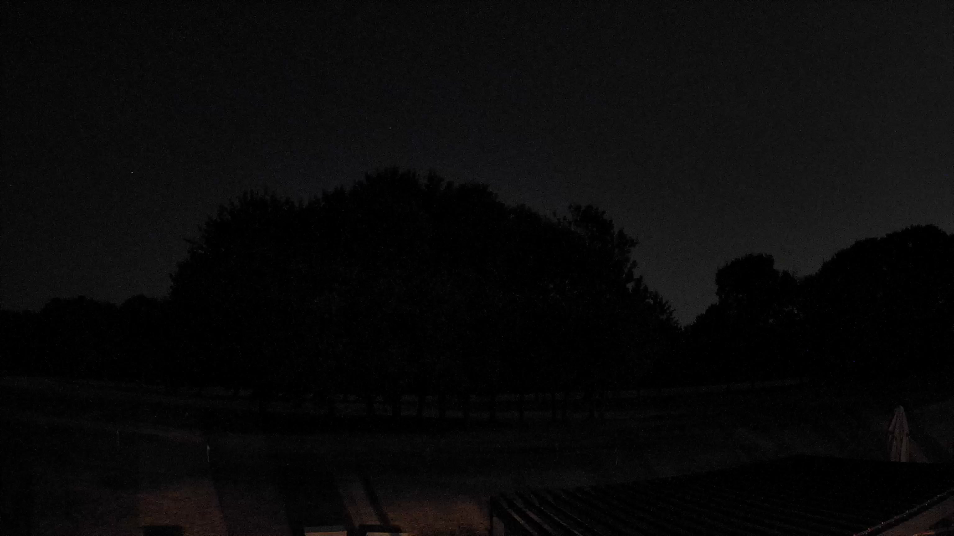 Webcam Image