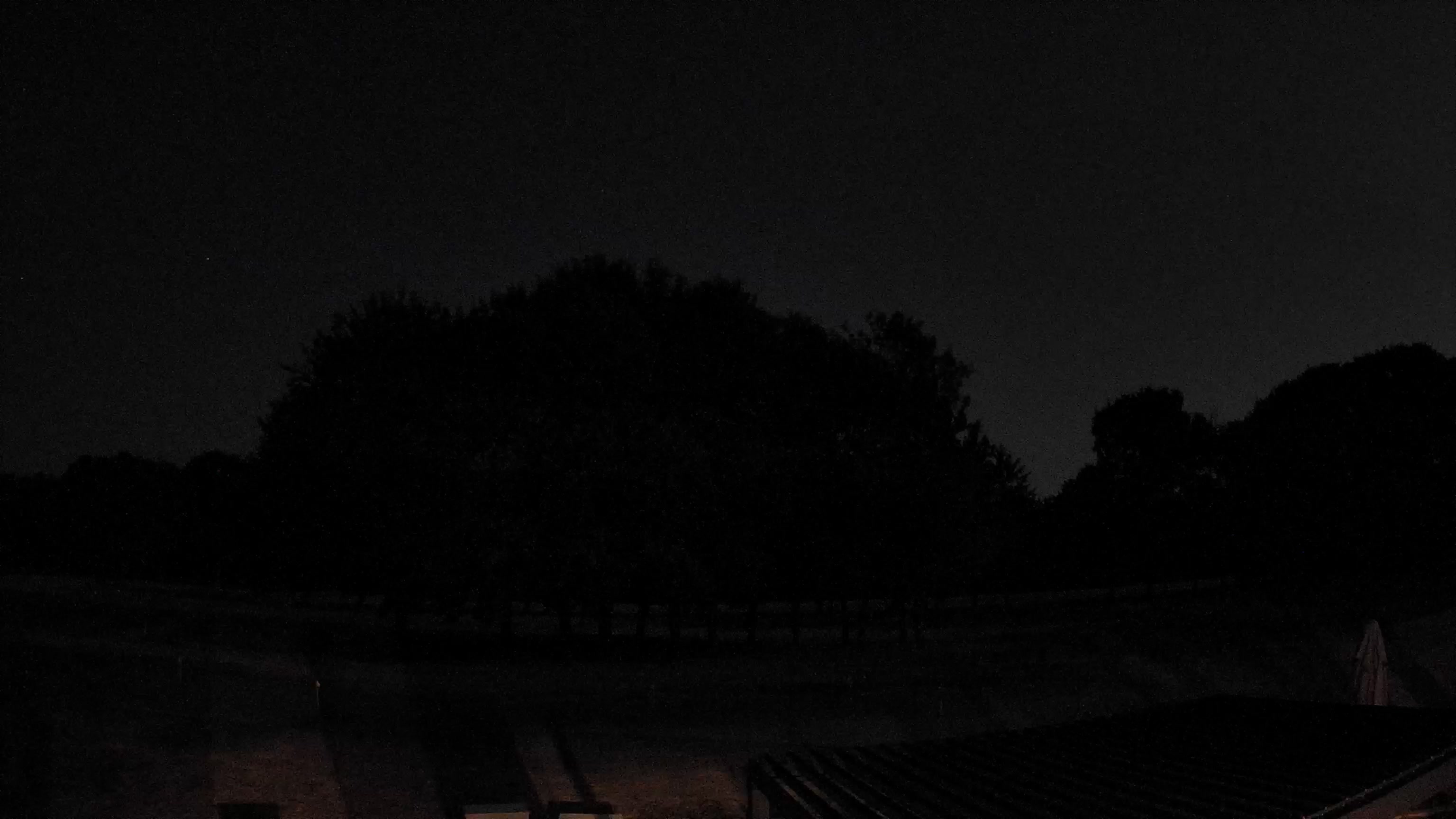 Webcam Image