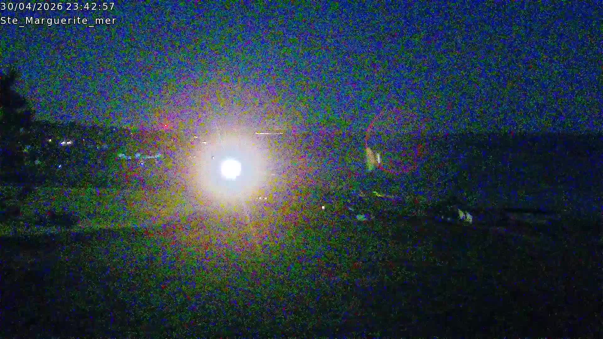 Webcam Image
