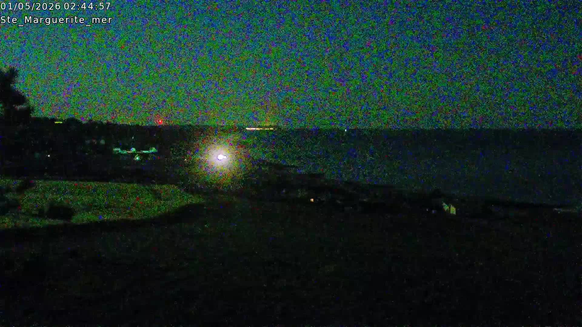 Webcam Image