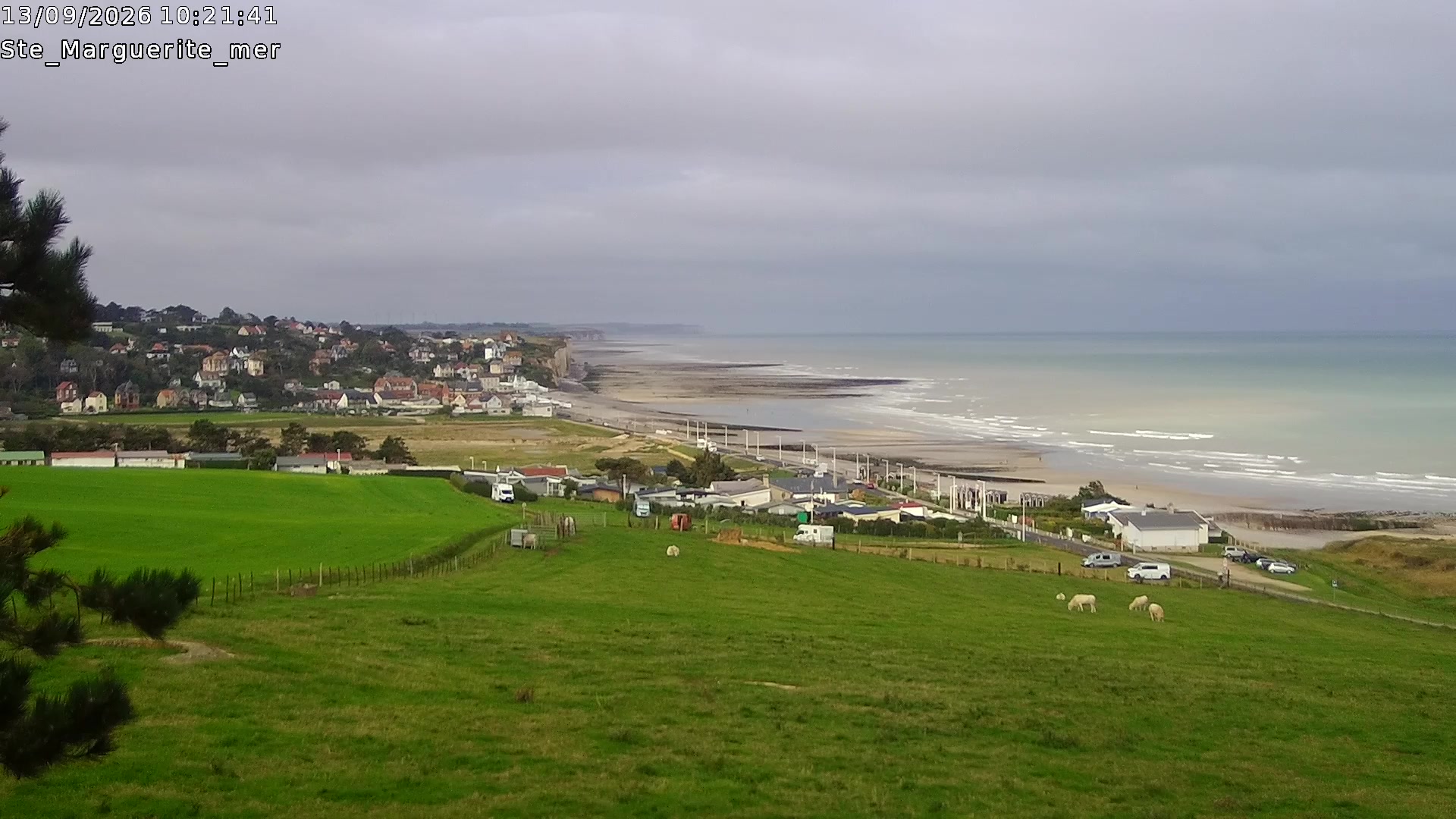 Webcam Image