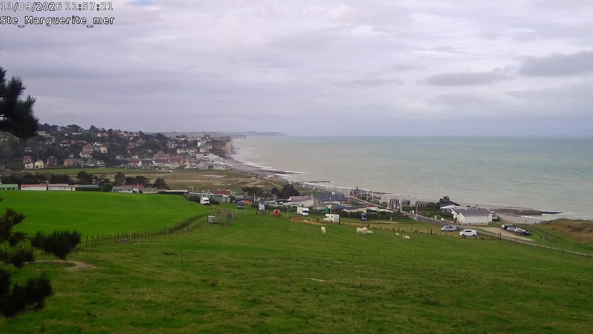 Webcam Image