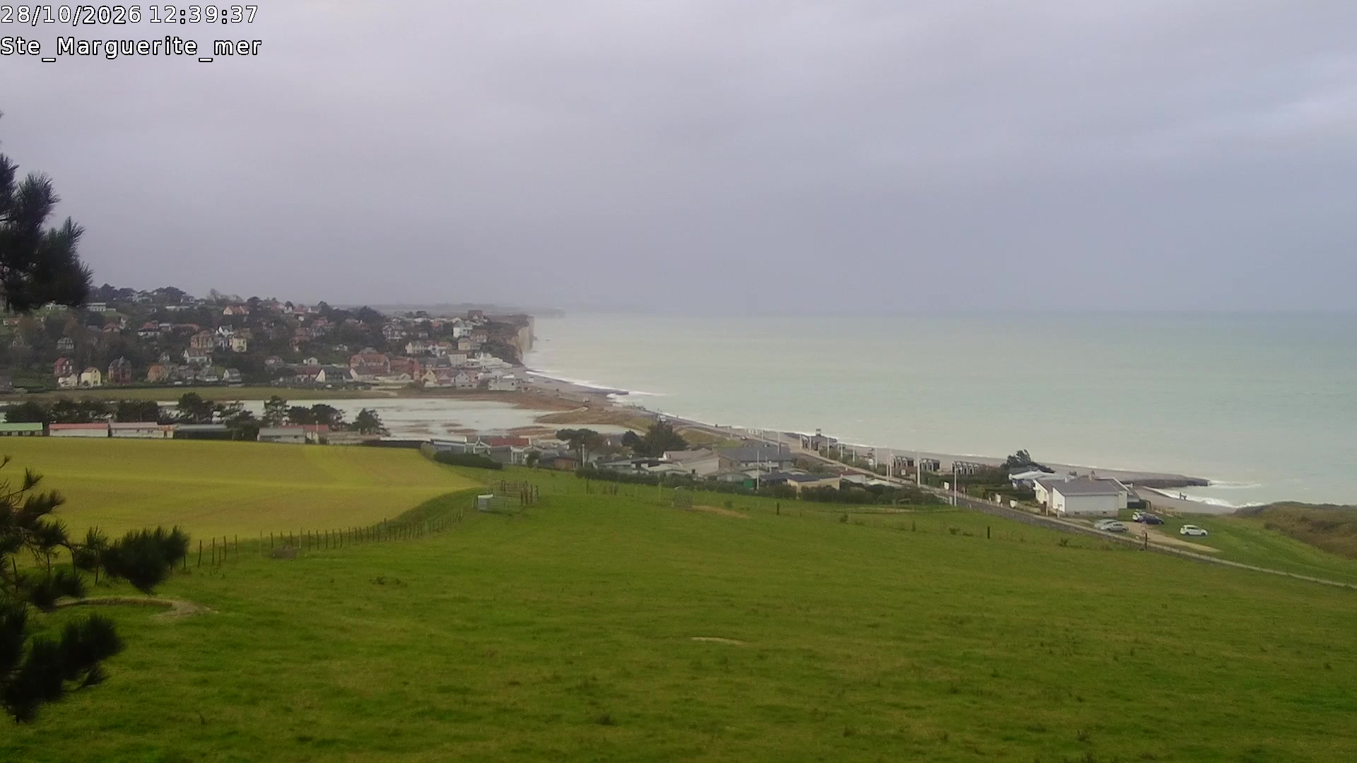 Webcam Image