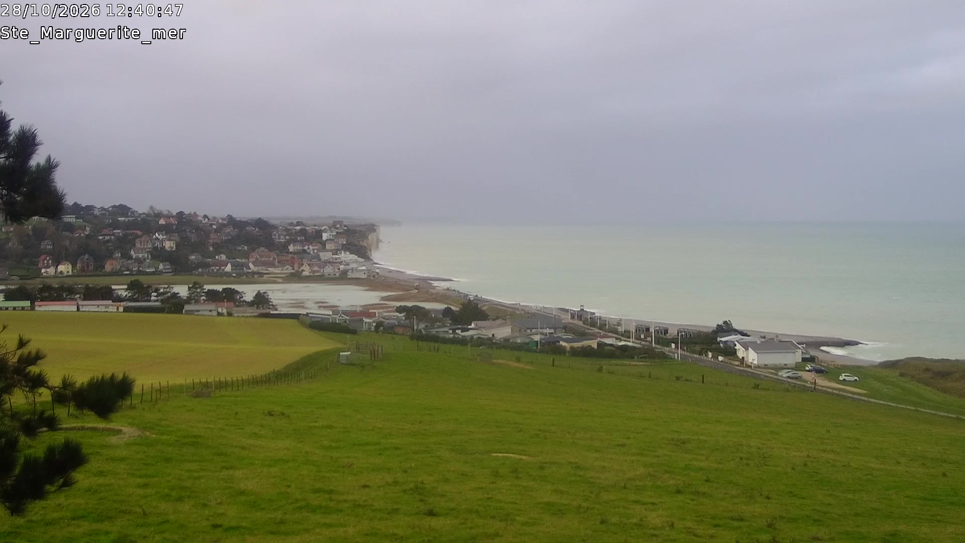 Webcam Image