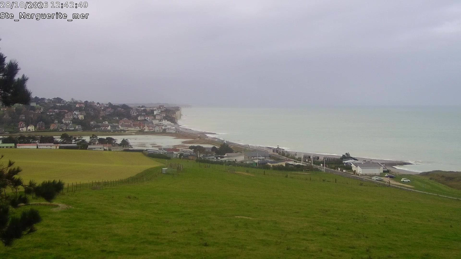 Webcam Image