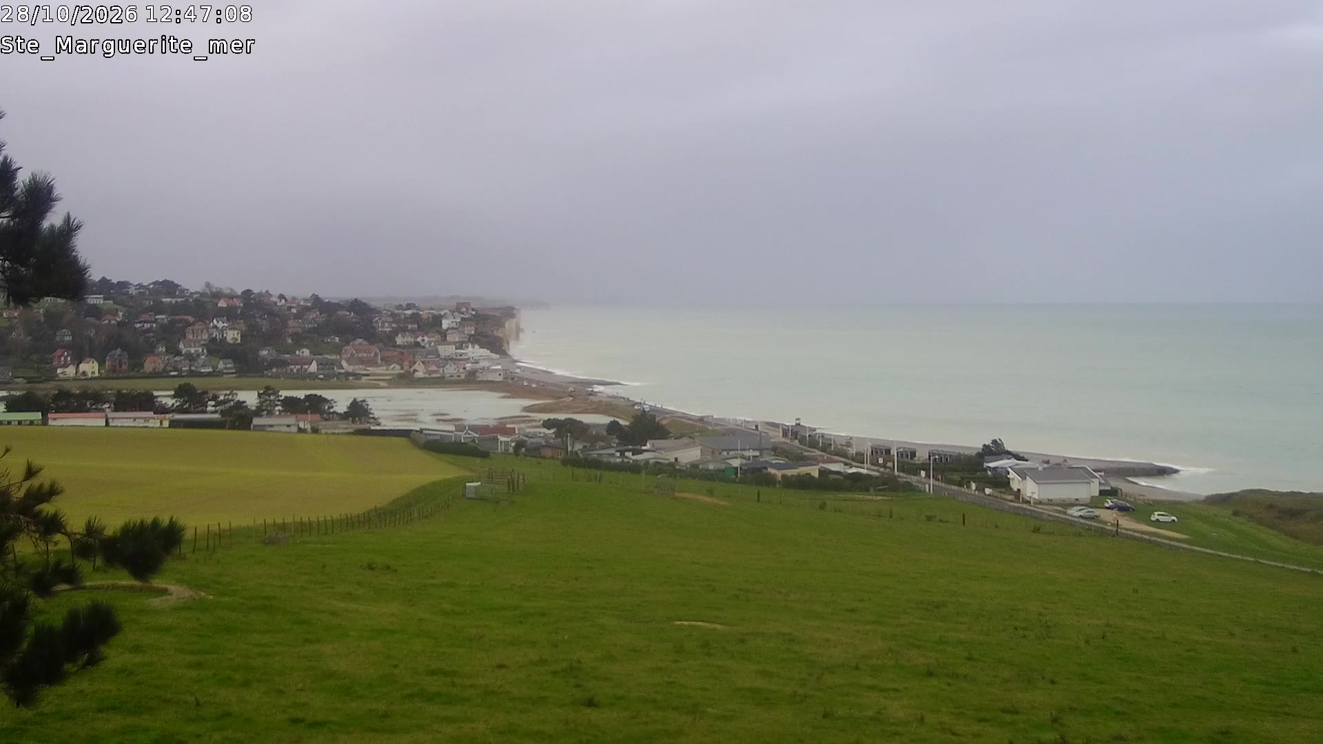 Webcam Image