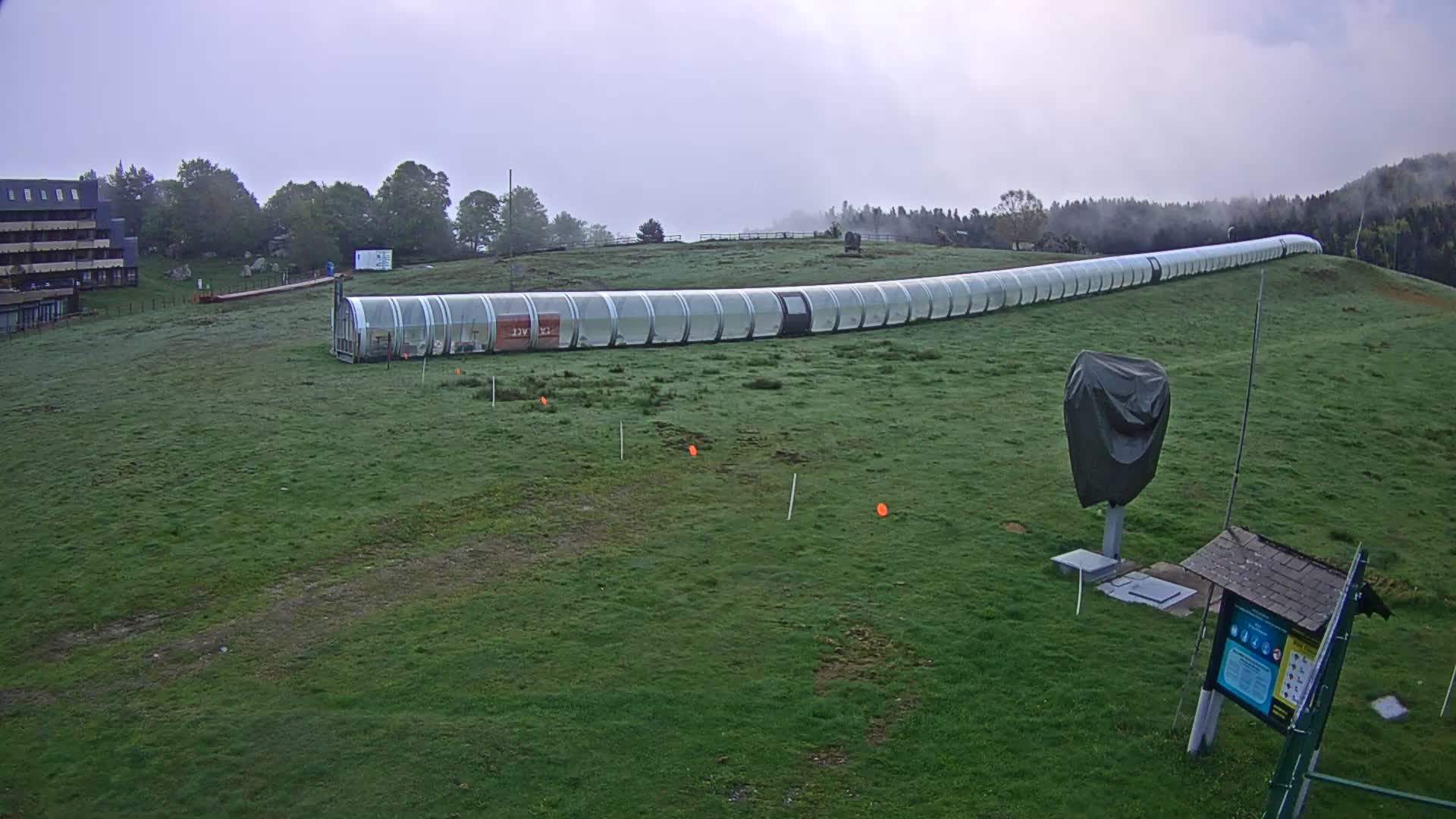 Webcam Image