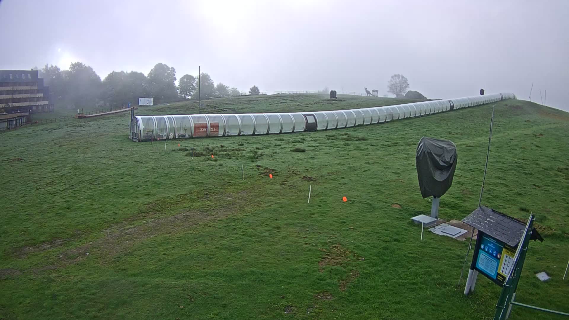 Webcam Image