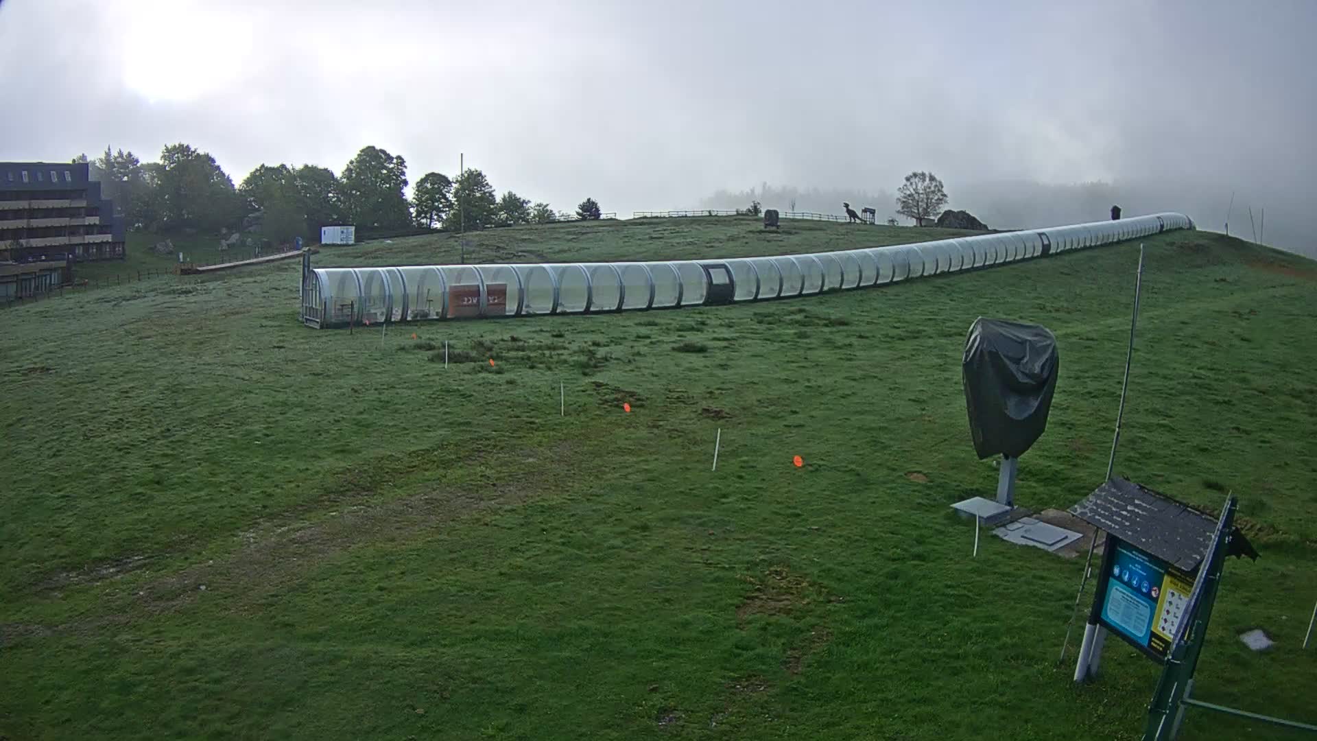 Webcam Image
