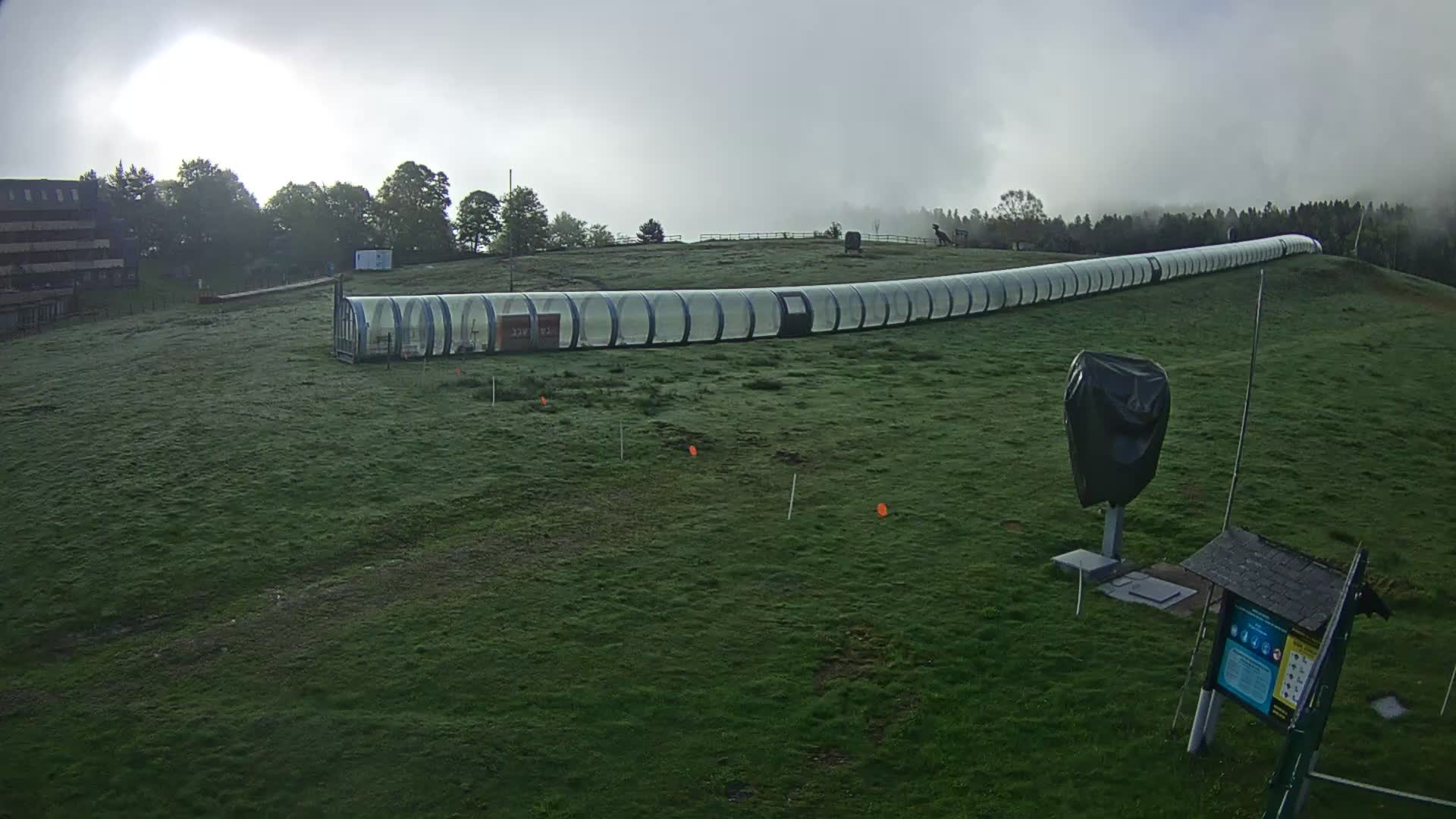 Webcam Image