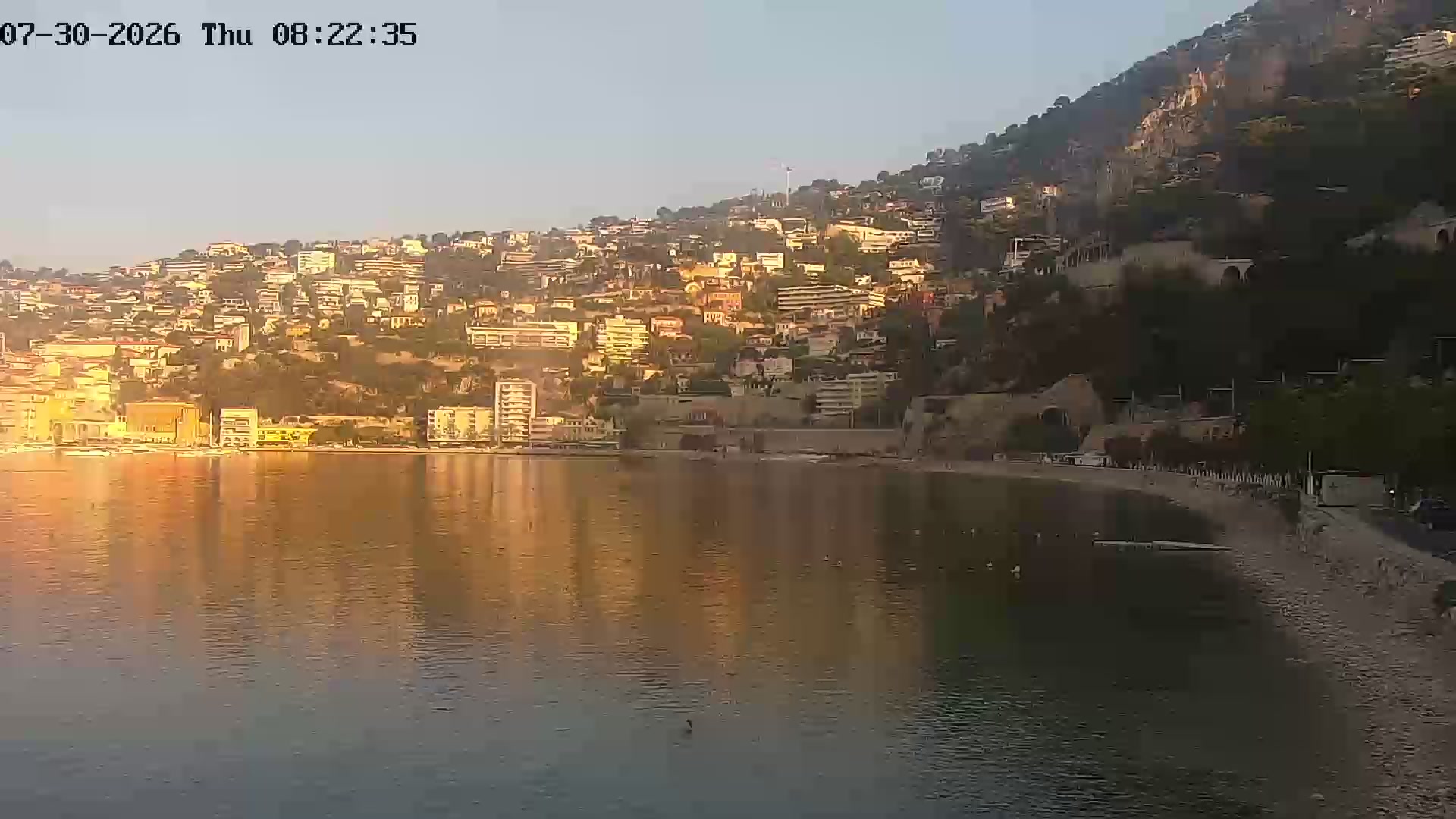 Webcam Image